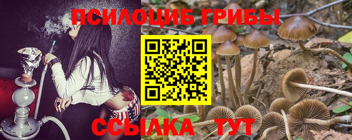 Галлюциногенные грибы GOLDEN TEACHER Баксан